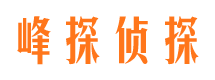 麻栗坡市场调查